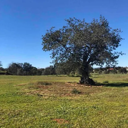 Quinta Campo